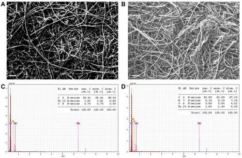 Figure 1 Scanning electron microscopy of the pristine buckypaper (BP) surface (A) and of the PAMAM-coated (PAM-BP) surface (B). The lower conductivity of the sample confirmed the effective coating with the PAMAM dendrimer. Scale bar: 1 µm. Energy-dispersive X-ray analysis of the pristine BP (C) and PAM-BP (D).