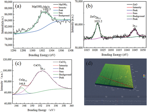 Figure 7. XPS analysis of the degradation products (a–c) and surface morphology after removing the degradation products (d) on the surface of the Mg-Zn-Ca amorphous alloy immersed in Hank’s solution for 28 days. a.U., arbitrary units; XPS, X-ray photoelectron spectrometer.