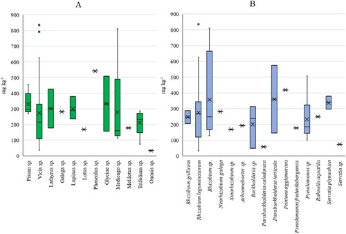 Figure 7. Phosphorus (P2O5) content in soil samples (mg kg−1). The coloured result bars show data distribution within the particular host plant (A) and identified bacteria genus/species (B) groups. Line (-) indicates data median value; cross (x) indicates date mean value; bar whiskers indicate the max and min values; data outliers are marked with a coloured circle.