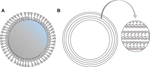 Figure 2 Schematic representation of unilamellar (A) and multilamellar (B) liposomes.Note: The arrow indicates an enlarged view of the outer layers of multilamellar liposomes.