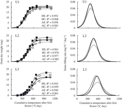 Figure 2. Changes in grain dry weight and grain-filling rate of primary spikelets in the upper part of a panicle (U1) and in secondary (L2) and tertiary spikelets (L3) in the lower part. ··■·· AC (ambient temperature without shading); —●— AS (ambient temperature with shading); ··□·· HC (high temperature without shading); —○— HS (high temperature with shading).