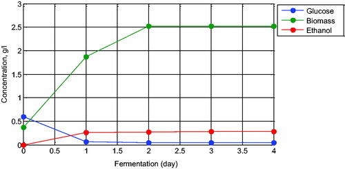 Figure 1. Batch ethanol fermentation data using Saccharomyces cerevisiae over four days of observation.