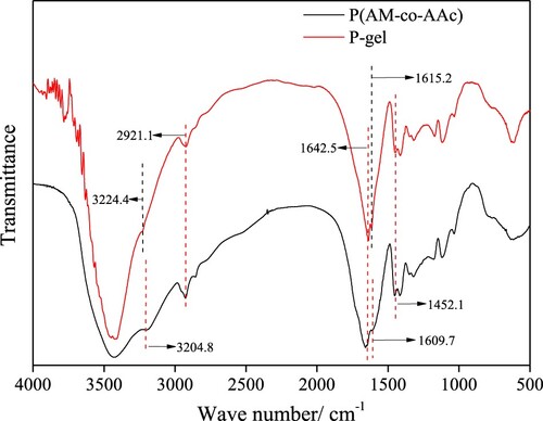 Figure 4. FT-IR spectra of P(AM-co-AAc) and P-gel.