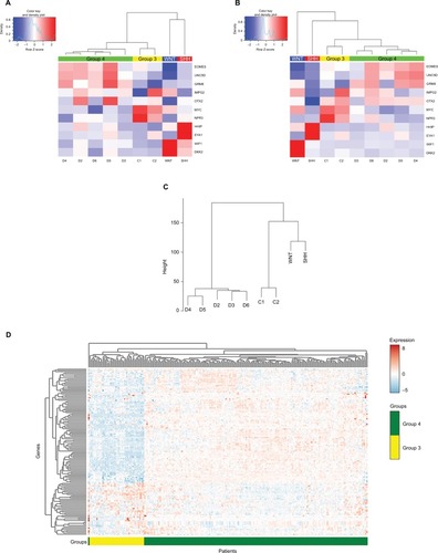 Figure 2 Heat-map showing differential expression of protein-coding genes in the nine tumor tissues, according to (A) qPCR analysis (−ΔCT) and (B) RNA-seq analysis (log CPM). Graphically displayed results of unsupervised hierarchical clustering. (C) Hierarchical clustering of the genes across the different subgroups using ANOVA (FDR <0.05). Patient symbols are detailed in Table S1. (D) Expression heat-map of the differently expressed genes between Group 4 and other MB subgroups (FDR <0.05). The values were taken from the public data set GSE37385 (Group 3=46, Group 4=188).Abbreviations: qPCR, quantitative PCR; MB, medulloblastoma; RNA-seq, RNA sequencing; CPM, counts per million; ANOVA, analysis of variance; FDR, false discovery rate; SHH, sonic hedgehog; WNT, wingless-type.