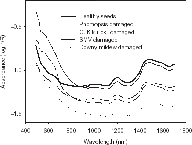 Figure 1. Average visible and near-infrared absorption curves for healthy soybean seeds, and Phompsis, C. kikuchii, SMV, and downy mildew damaged soybean seeds.