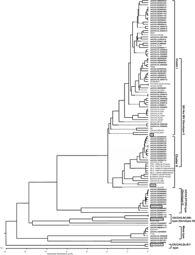 Figure 1.  Phylogenetic relationships, based on the sequence of the S1 subunit of the S gene of IB vaccine strains and IBV field strains isolated in China (the first 1697 nucleotides, starting at the AUG translation initiation codon, of the S gene), obtained using the MEGALIGN program in DNAStar with the Clustal V method (Liu et al., Citation2006). The IBV isolates obtained in the present study are in bold and the boxed ones are reference IBV strains. The three IBV isolates used in the vaccination–challenge test are shown in bold. The country, except China, where the reference IBV strains were isolated is shown in parentheses.