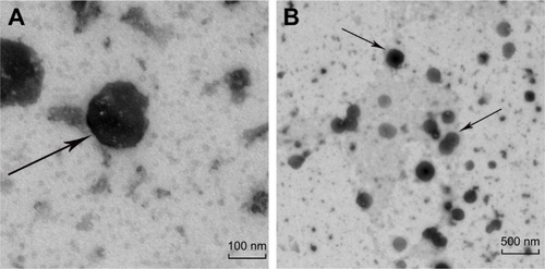 Figure 4 TEM images of (A) a single BO-SLN/CM and (B) a crowd of BO-SLN/CM.Abbreviations: BO-SLN/CM, borneol-modified chemically solid lipid nanoparticle; TEM, transmission electron microscopy.