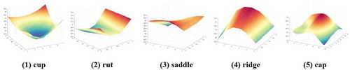 Figure 3. The surface morphological features of LLST patterns (Wang, Zhan, and Guo 2016; Liu et al. Citation2018)