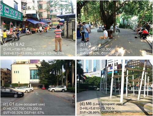 Figure 15. Examples of daytime occupant use of outdoor spaces in different types of urban (sub)neighbourhoods: (a) Site A – A1 and A2 (urban village); (b) Site F – F3 (urban park); (c) Site C – C1 (modern urban block); and (d) Site JB – M6 (urban open space) (source: photographed by authors).