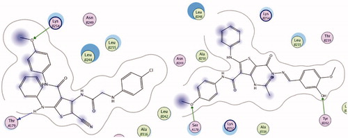 Figure 11. Docking poses displaying 2D interactions of compounds 5 (left) and 21 (right) with tubulin colchicine binding site.