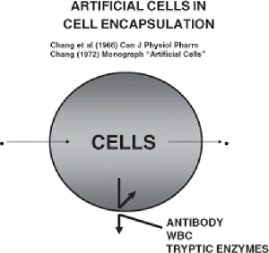 Figure 9. Basic principle of artificial cells for cell encapsulation. The encapsulated cells are retained inside the microcapsules and thus isolated from the external environment. This prevents immunological rejection of the encapsulated cells. However, the membrane can be made permeable to oxygen and nutrients needed by the cell. Also, the products of the cells like insulin, peptide, and other materials can leave the microcapsules.