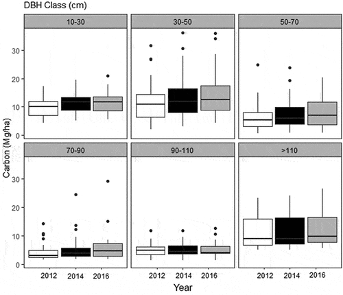 Figure 6. Boxplot (with quartiles and median) of carbon (Mg/ha) between DBH classes and years.