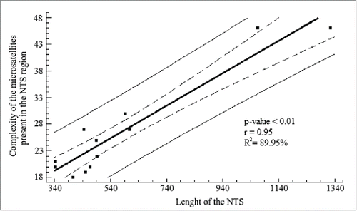 Figure 5. Linear regression analysis for the length of the NTS and the complexity of the microsatellites present in the NTS region. The analysis shows a high coefficient determination, which was significant. Solid line represents the linear regression according to the equation Y = 10.78 + 0.03(X) + e . Dashed lines represent the 95% confidence interval for the median value of Yi in any Xi . Thin lines are the prediction limits of 95% for new observations.