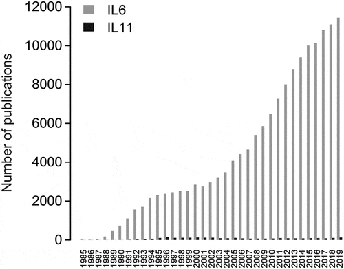 Figure 1. Number of publications for IL6 (gray) or IL11 (black) by year (1985–2019). The R package Pubmedwordcloud was used to generate these plots using case insensitive keywords ‘il6ʹ, ‘il-6ʹ, ‘interleukin-6ʹ, ‘interleukin 6ʹ for IL6 and ‘il-11ʹ, ‘interleukin-11ʹ and ‘interleukin 11ʹ for IL11
