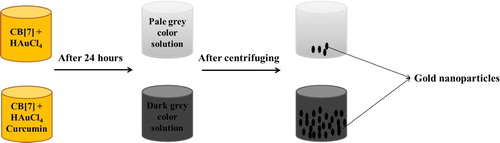 Figure 4. Synthesis of Au NPs with and without curcumin.