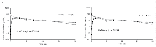 Figure 3. Pharmacokinetic profile of IL-17/IL-20 FIT-Ig protein in rats Serum concentrations ( ± s.d.) time profile of IL-17/IL-20 FIT-Ig protein after a 5 mg/kg subcutaneous (S.C.) or intravenous (I.V.) administration to male Sprague-Dawley rats. Quantitation was performed using IL-17 capture (a) or IL-20 capture (b) ELISA.
