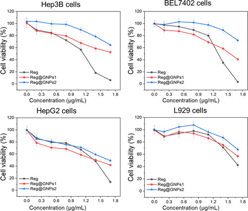 Figure 4. The effect of Reg and Reg@GNPs nanoconjugates on the cell viability of liver cancer cells (Hep3B, BEL7402, and HepG2). cell viability was verified after 24 h of treatment by MTT test. The data are presented as mean ± SD from the representative of three independent experiments.