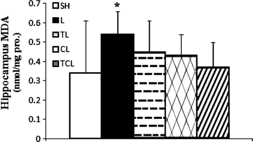 Figure 3.  Concentration of the hippocampus malondialdehyde (MDA) in rats chronically exposed to lead acetate. Values are means ± SD; SH, (Sham); L, (Lead); TL, (Training + Lead); CL, (Curcumin + Lead); TCL, (Training + Curcumin + Lead) groups. Statistical significance p < 0.05; *Significantly than sham group.