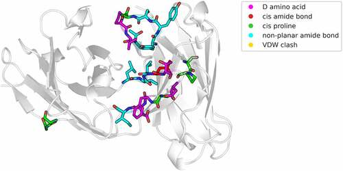 Figure 4. Pymol visualization of the structural inaccuracies, as output of the “TopModel” tool.