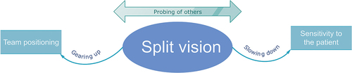 Figure 2. The “split vision” theory.