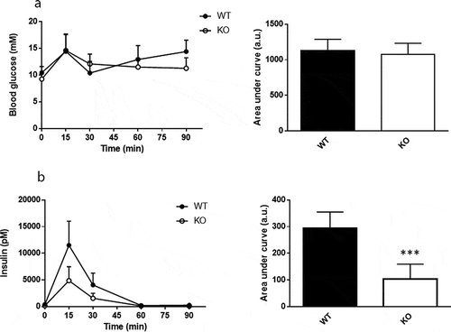 Figure 3. Enhanced meal tolerance in Cyp8b1−/- (KO) mice. (a) Blood glucose levels and (b) plasma insulin levels in response to a meal tolerance test in HFD-fed 544 Cyp8b1+/+ (WT) and Cyp8b1−/- (KO) mice. Data is shown as mean ± SD, n = 6–8. Area 545 under the curve is shown to the right of respective graph. *** = p < 0.001