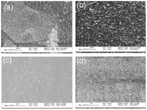Figure 2 Scanning electron microscopy images of (a) conventional Ti, (b) nanorough Ti, (c) conventional PE, and (d) nanorough PE. Scale bars in (a) and (b) are 200 nm while in (c) and (d) are 1 μm.