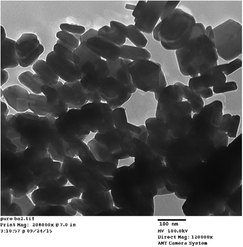 Figure 3. TEM results of pure barium nanohexaferrites.