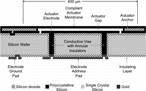 Figure 2 Cross-sectional schematic of one actuator in the actuator array fabricated with through-wafer interconnections for this project.