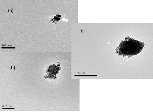 Figure 2. Examples of the TEM morphology of the TiO2 particle for mobility diameter of 50 nm (a), 200 nm (b), and 500 nm (c).