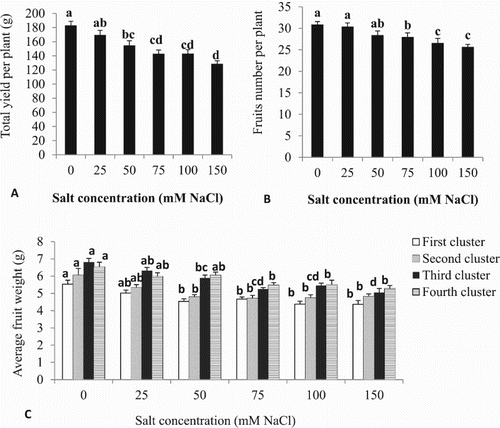 Figure 3. Effect of different NaCl concentrations on (A) total yield/plant, (B) fruits number/plant, and (C) average fruit weight of cherry tomato. Data are mean ± SE of 10 replicates. Different letters indicate significant differences (Tukey Test, P < 0.05%).