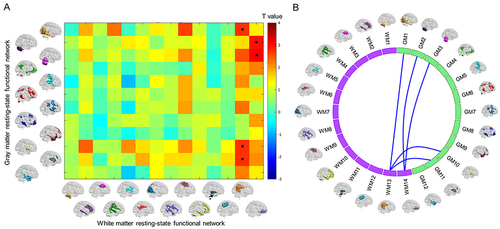 Figure 5 (A) Differences in functional connectivity between WM and GM functional networks between good sleepers and poor sleepers. The color bar shows T value of two sample t-test. *Represents statistical significance (P <0.05, uncorrected). (B) Five pairs of functional connectivity between WM-FNs and GM-FNs showed a decreased trend in poor sleepers.