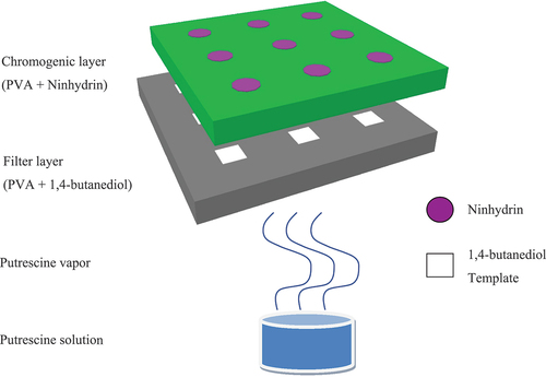 Figure 2. Schematic visualization of the double-layer membrane (adapted from[Citation86]).