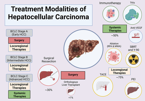 Figure 1. Overview of all commonly used treatments for Hepatocellular Carcinoma (HCC) based on the Barcelona Clinic Liver Centre (BCLC) staging system.