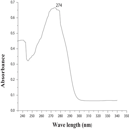 Figure 3 Maximum wavelength (λmax) of caffeine in dichloromethane with the UV-Vis spectroscopic method.