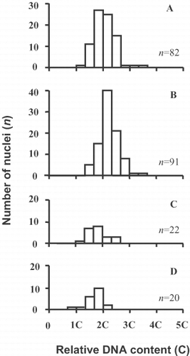 Fig. 41. Relative nuclear DNA contents, clone C. (A) Vegetative cells. (B – D) Auxosporulating cells, before auxospore expansion (corresponding to Figs 32 – 37), counted for functional (large) nuclei both before (B) and after (C) karyokinesis; (D) shows counts for aborting small nuclei.