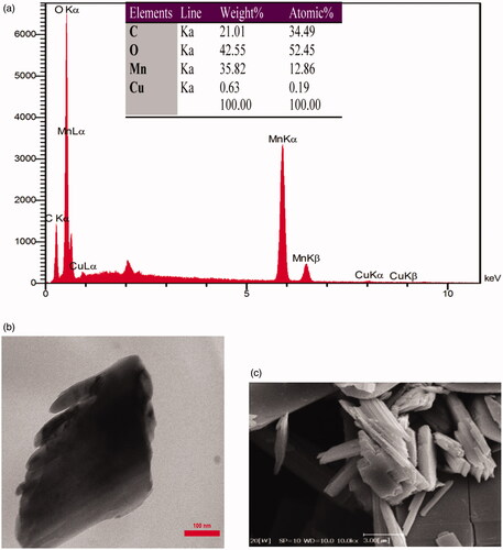 Figure 4. The EDAX (a), elemental analysis (a), SEM (b) and TEM (c) of Mn3O4/CuL bio-nanocolloid.