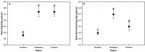 Figure 23. Geometric mean (± 95% confidence intervals) total mercury (THg) concentrations in gull eggs collected from three regions: south (<58°N, sites 1–5), downstream of the Athabasca River (58.9°N–59.4°N, sites 6–8), and north (>59°N, sites 9–12). Site numbers are shown in Figure 1B. (a) Regional means based on non-normalized THg data. (b) Regional means based on THg data normalized for trophic position (δ15NBulkPhe) and species. Letters above means indicate statistical differences (means with the same letter are not different). Phe = phenylalanine (Dolgova et al. Citation2018b).