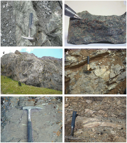 Figure 3. Field and hand-sample pictures of the meta-igneous rocks from the Refahiye and Kurtlutepe areas: (a) well-foliated greenschist (Refahiye), (b) unfoliated garnet amphibolite in hand sample (Refahiye), (c) large massive marble body (Refahiye), (d) volcanic fragments in the metavolcaniclastic rock (Kurtlutepe), and (e) metavolcaniclastic rock (Kurtlutepe), and (f) marble and calc-phyllite association (Kurtlutepe).