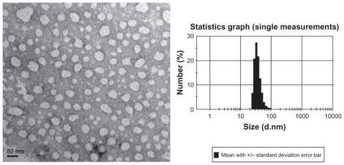 Figure 2 Morphology and size distribution of doxorubicin-loaded polyethyleneglycol-polycaprolactone micelles. The morphologies of the micelles were studied using transmission electron microscopy (left). Dynamic light scattering was used to determine the diameter of micellar doxorubicin.