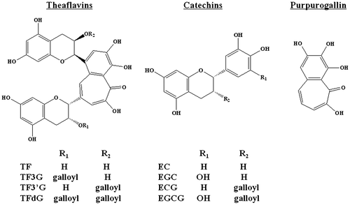 Fig. 3. Structures of TF, catechins, and purpurogallin.