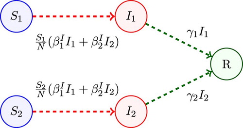 Figure 1. Compartmental diagram for Model 1.