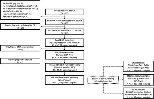 Figure 1. Schematic representation of the study design.