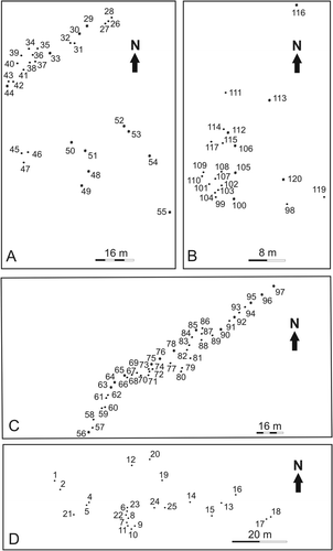 Fig. 4 Map of the study area showing the location of stumps at locality A (A), locality B (B), locality C (C) and locality D (D). Conifer and corystosperm stumps are indicated by point and asterisk symbols respectively.