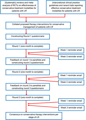 Figure 1. Procedure and timelines for participants in Delphi study.