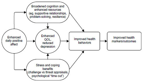 Figure 1 Theoretical model of pathways through which positive affect is associated with health.