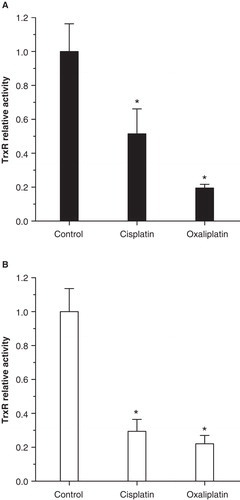 Figure 3. Both cisplatin and oxaliplatin inhibit thioredoxin reductase (TrxR) enzyme activity in cochlear organotypic cultures. Relative activity (± SD) of TrxR was measured in cultures of organ of Corti (A) and lateral walls (B) cultured for 24 h with 20 µM cisplatin, 20 µM oxaliplatin or normal medium (control). Enzyme activity was significantly inhibited in cultures treated with either cisplatin or oxaliplatin, but there was no difference between the two treatments. Asterisks indicate statistically significant difference from control: ANOVA on ranks (A); p < 0.05, or one-way ANOVA (B); p < 0.001.