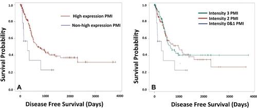 Figure 3 Disease free survival of PDAC patients with various PMI expression. (A) Disease free survival between PMI high-expression (intensity 2 and 3) and non-high expression groups (intensity 0 and 1) (Kaplan-Meier curve). Kaplan-Meier analysis also suggested that PMI high expression group was significantly correlated with lower rate of recurrence (p=0.01). (B) Disease free survival among 3 PMI intensity groups including non-high-expression PMI group (intensity 0 and 1), moderate expression of PMI (intensity 2) and high expression PMI (intensity 3. Kaplan-Meier curve analysis revealed a direct significant correlation (p=0.04).