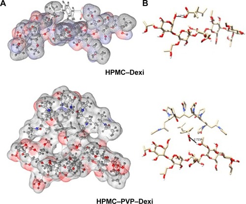 Figure 9 Interactions of HPMC–Dexi (top) and HPMC–PVP–Dexi (bottom) complexes showing hydrogen bonding as black lines.Note: (A) Hydrophobic interactions between the drug and the PVP side chains may have contributed to the enhanced binding, (B) molecular surface of the polymers is displayed according to polarity.Abbreviations: Dexi, dexibuprofen; HPMC, hydroxypropyl methyl cellulose; PVP, polyvinyl pyrrolidone.