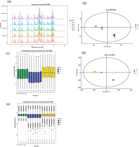 Figure 4. Quality control results of GC – MS and LC – MS (Group A:JDSB, Group C: jiaotou). (a) Total ion chromatogram overlay of GC – MS. (b) QCs GC – MS PCA score plots for all samples. (c) GC – MS metabolite intensity box plot. (d) LC – MS PCA score plots for all samples. (e) LC – MS metabolite intensity box plot.