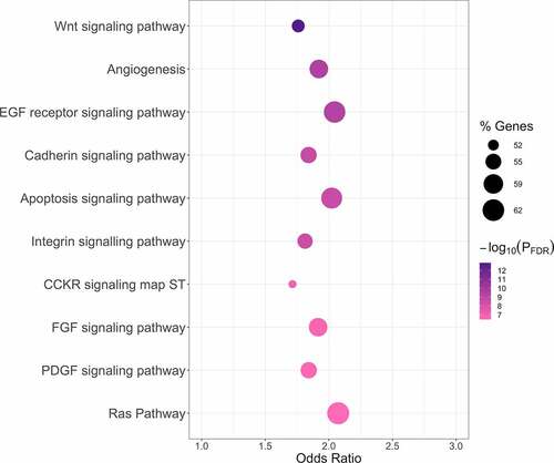 Figure 2. Top 10 PANTHER pathways associated with predicted target genes identified for late pregnancy EV miRNA associated with GA at birth. PANTHER pathway enrichment analyses were conducted using enrichR [Citation53]. Results are presented in a bubble plot. The dot color represents the -log10(PFDR) from Fisher’s Exact tests (dark purple represents smaller p-values and light pink represents larger p-values). The dot size indicates the percentage of pathway members that are represented by the predicted target genes identified for late pregnancy miRNA associated with GA at birth (larger dots represent larger percentages). The top 10 PANTHER pathways based on statistical significance are shown on the y-axis and are ordered from smallest to largest PFDR. Odds ratios from Fisher’s Exact tests are shown on the x-axis. Abbreviations Used: EV, extracellular vesicle; FDR, false discovery rate; GA, gestational age; miRNA, microRNA.